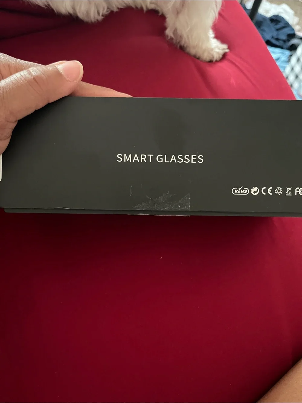 Smart Glasses - Black